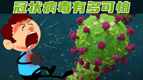 网络病毒讲解视频下载免费_网络病毒讲解视频下载免费观看