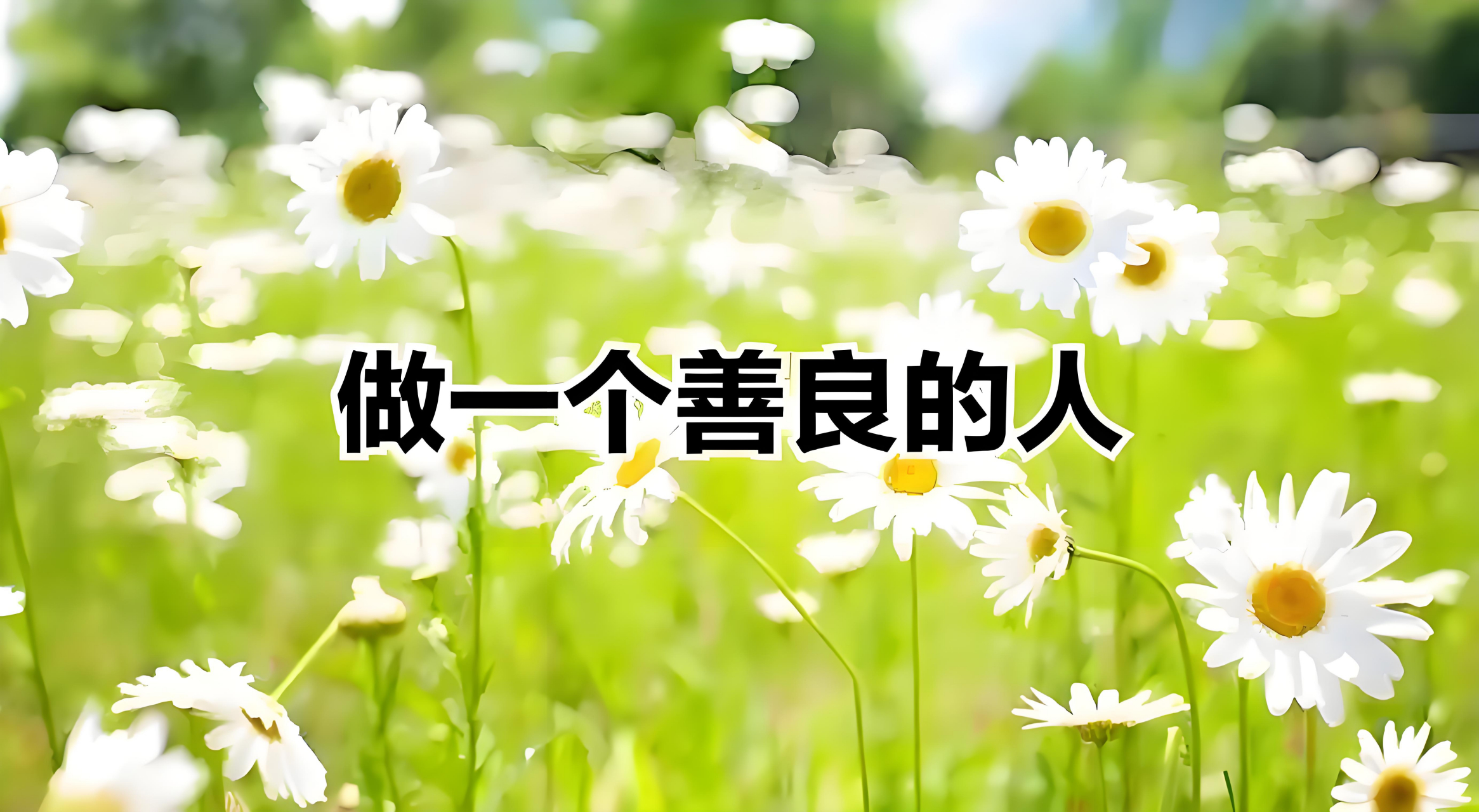 善良幼儿视频素材下载(视频素材无水印免费下载)