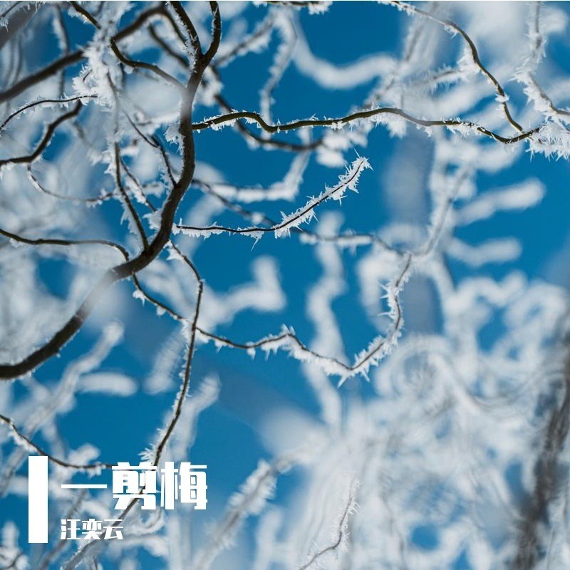 一剪梅mp3下载(一剪梅mp3下载王心雅DJ)